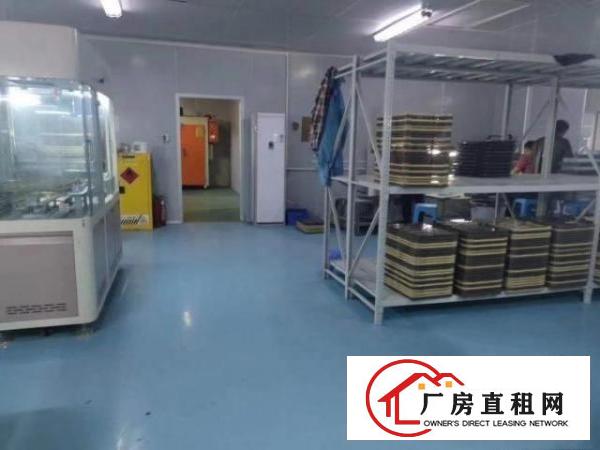  工业区分租带无尘车间厂房