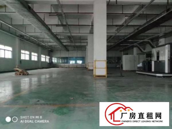  花园式独院标准厂房招租