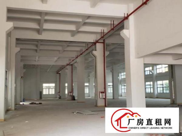  原房东厂房招租，大小可分