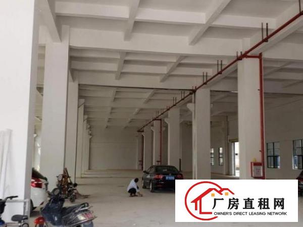  原房东厂房招租，大小可分