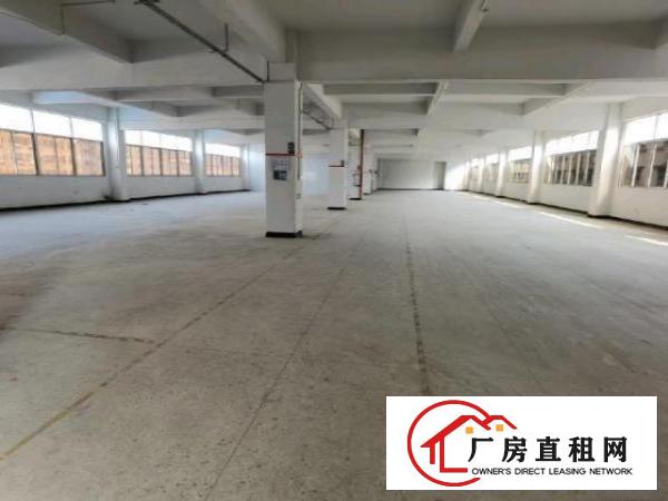  业主厂房水电全通雨污分流可办环保