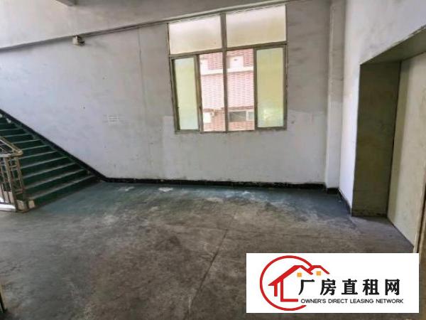  业主厂房水电全通雨污分流可办环保