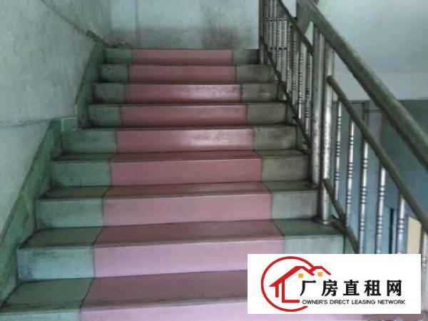  房东厂房四、五楼出租