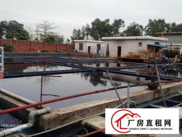  洗水漂染厂出租证件齐全