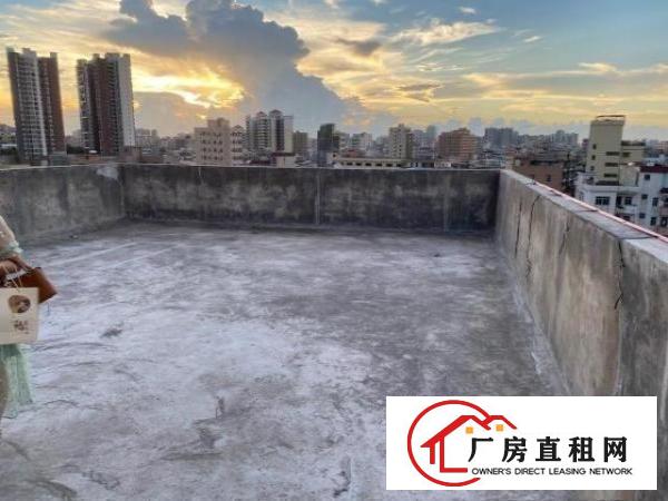  大朗长塘新建电梯厂房适合电商仓储工厂天面超大阳台套房