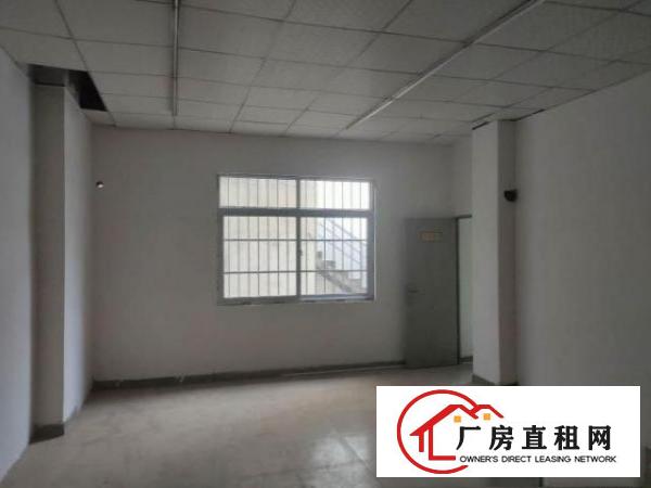  出租大朗镇体育馆商业综合体