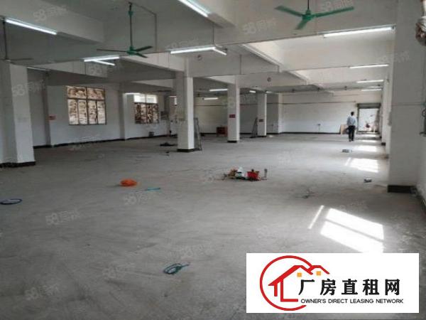  9.9元招租大朗黄草朗一楼380平方厂房有宿舍配套