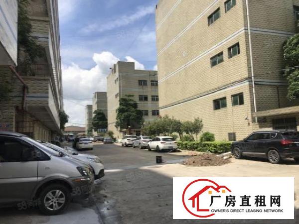  大朗镇新马莲新空出9成新标准厂房950平带地坪漆