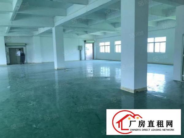  大朗镇新马莲新空出9成新标准厂房950平带地坪漆