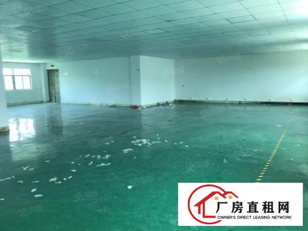  大朗镇新马莲新空出9成新标准厂房950平带地坪漆