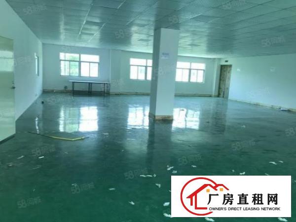  大朗镇新马莲新空出9成新标准厂房950平带地坪漆