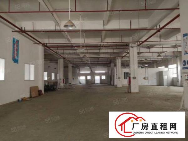  大朗蔡边新空出标准厂房一楼1900平出租空地超大，厂房方正