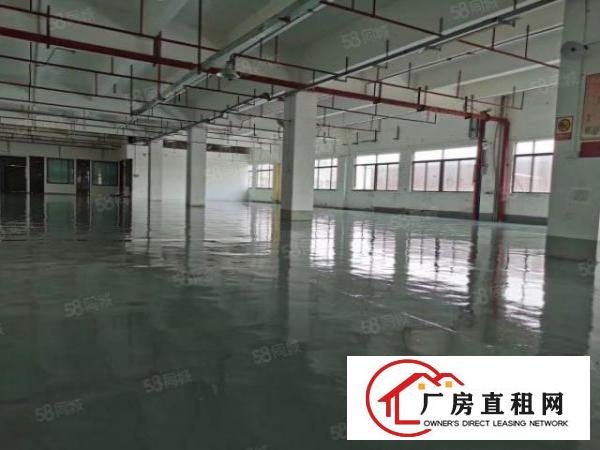  大朗高速口新出超靓原房独院标准厂房出租，总面积11200平。