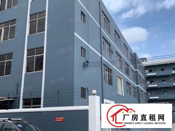  大朗镇洋乌新出独院5250平招租适合高新电子五金行业工业用地