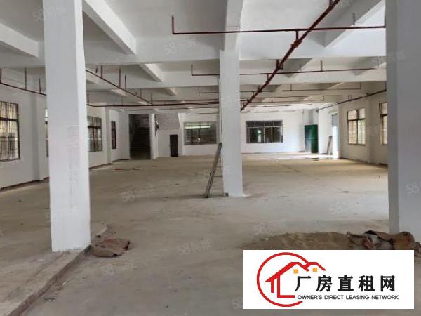  大朗镇洋乌新出独院5250平招租适合高新电子五金行业工业用地
