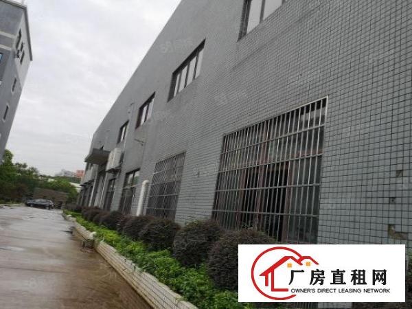  大朗镇富民工业城新出标准厂房钢构厂房5000平米水电齐全