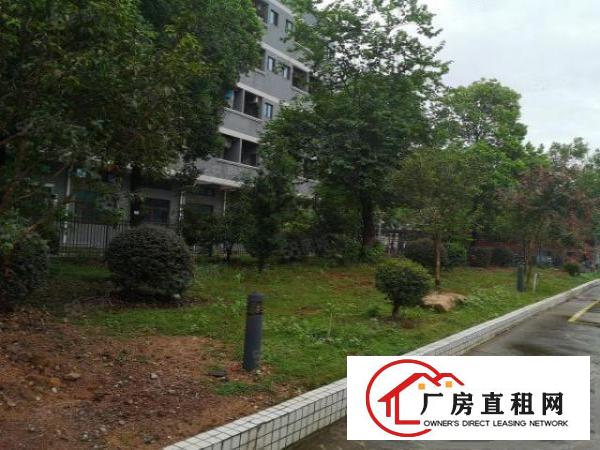  大朗镇富民工业城新出标准厂房钢构厂房5000平米水电齐全