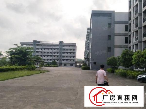  大朗原房东分租标准全新厂房一楼7米高2000平方米