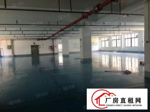  东莞大朗富民工业城原房东800平方厂房出租可办环评