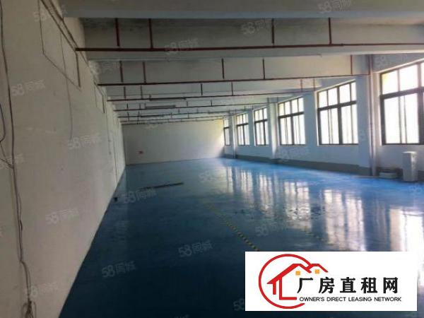  东莞大朗富民工业城原房东800平方厂房出租可办环评