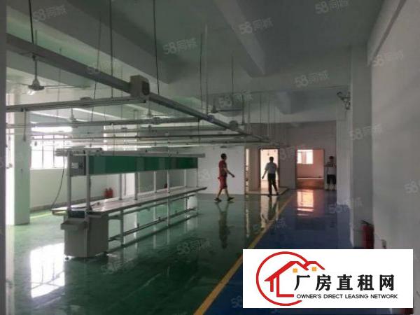  东莞大朗富民工业城原房东800平方厂房出租可办环评