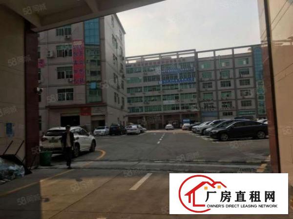  东莞大朗富民工业城原房东800平方厂房出租可办环评