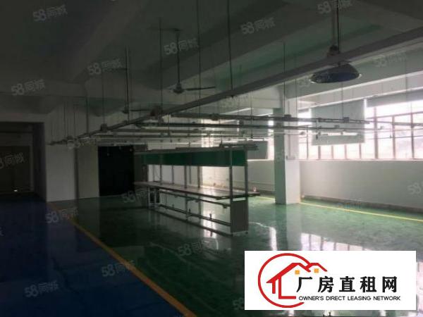  东莞大朗富民工业城原房东800平方厂房出租可办环评
