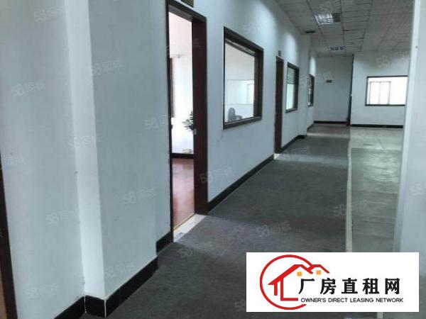  大朗新出带喷涂系统的钢构厂房出租可分租