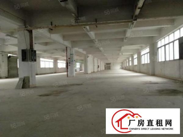  东莞大朗洋乌村原房东独院厂房8200平方出租可办环评可分租