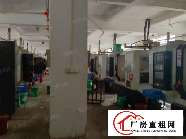  东莞大朗洋乌村原房东独院厂房8200平方出租可办环评可分租