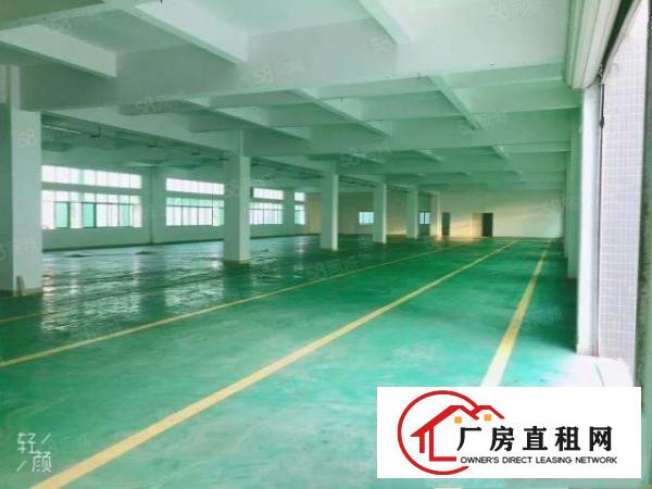  大朗镇新出独院厂房分租二楼一整层1200平，水电齐全