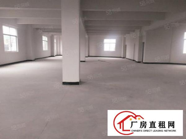  大朗大润发附近独栋4层880平方漂亮小厂房9元招租