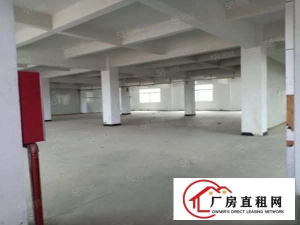  东莞大朗镇沙步6000平厂房出租