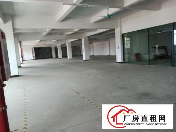  东莞大朗镇沙步6000平厂房出租
