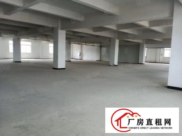  东莞大朗镇沙步6000平厂房出租