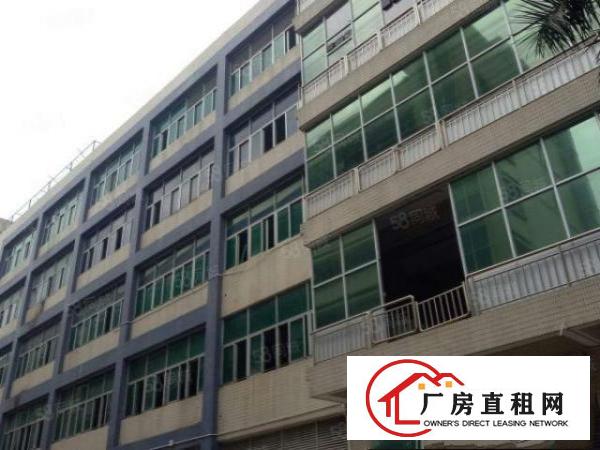  大朗新马莲新出一楼800平米带牛角厂房出租