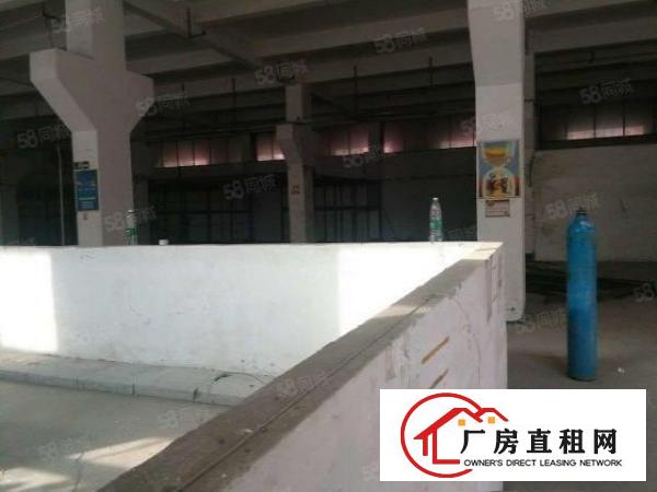  大朗新马莲新出一楼800平米带牛角厂房出租