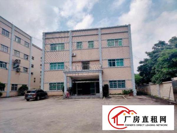  大朗工业聚集地原房东独院厂房出租交通便利