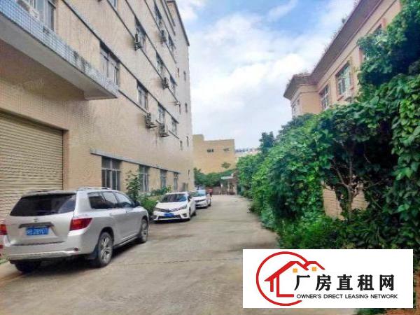 大朗工业聚集地原房东独院厂房出租交通便利