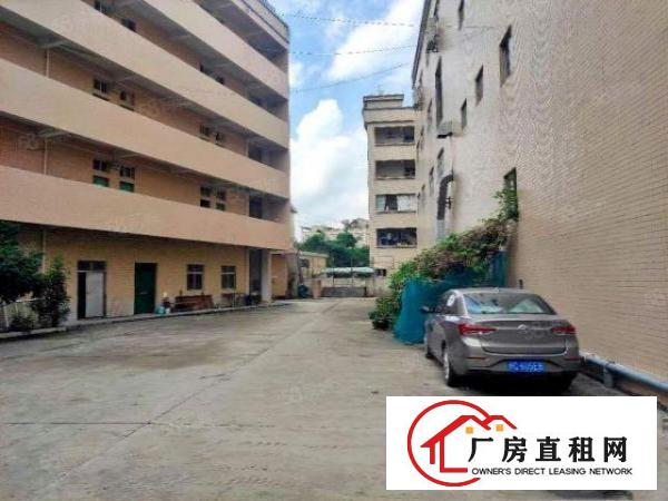  大朗工业聚集地原房东独院厂房出租交通便利