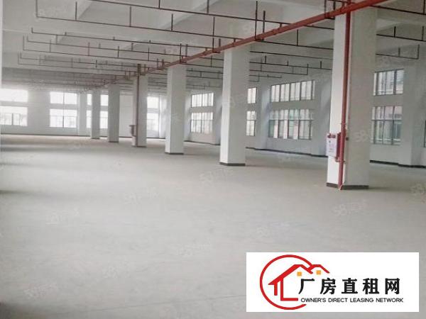  大朗工业聚集地原房东独院厂房出租交通便利