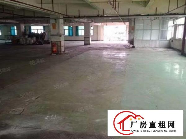  大朗镇新出花园式厂房35000平方出租，面积大小好分租！
