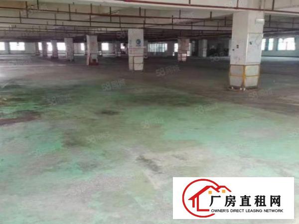  大朗镇新出花园式厂房35000平方出租，面积大小好分租！