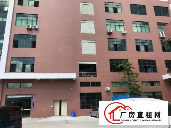  免租期2个月大朗大型工业园区厂房1300方架行车好进大车