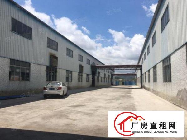  大朗原房东钢构2000方，实际面积，滴水8米，空地大