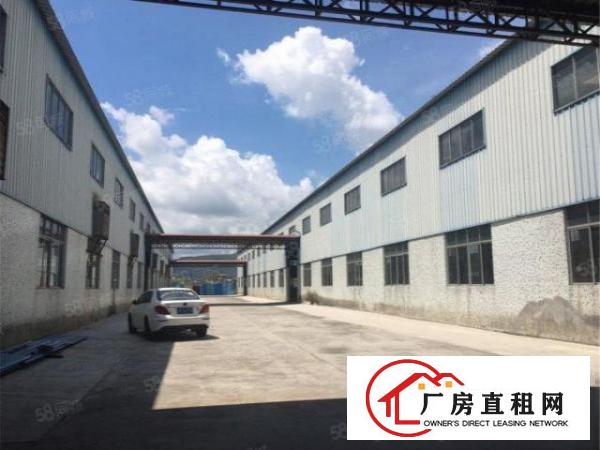  大朗原房东钢构2000方，实际面积，滴水8米，空地大