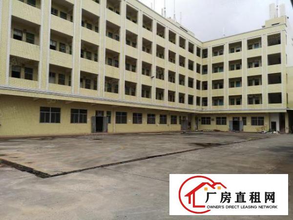  大朗G94高速路口新出标准厂房12层18000平米水电齐全