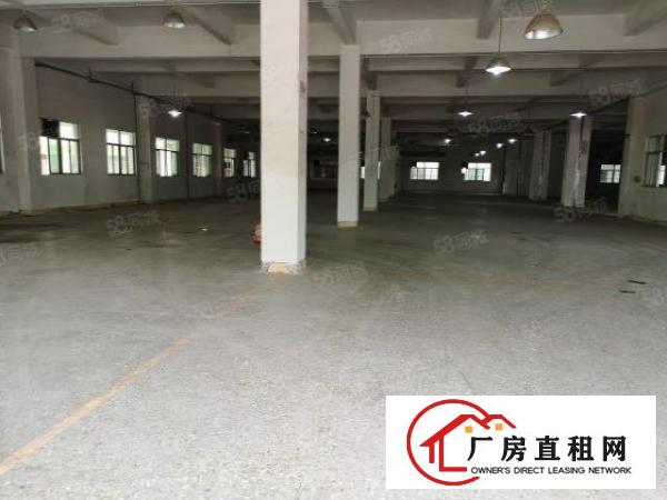  大朗G94高速路口新出标准厂房12层18000平米水电齐全