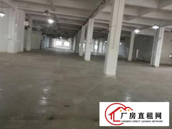  大朗G94高速路口新出标准厂房12层18000平米水电齐全