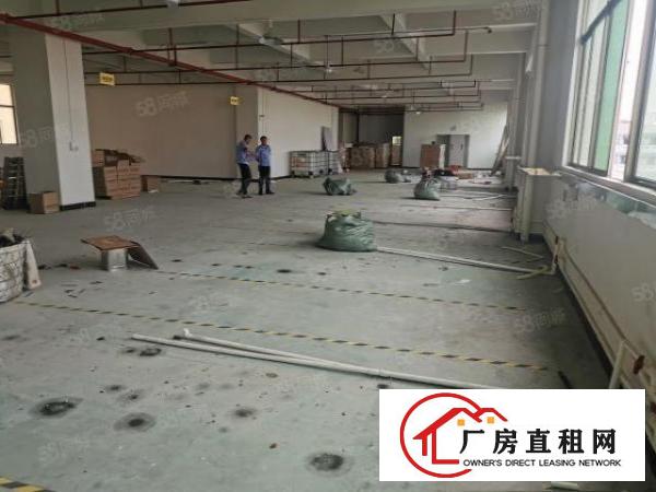  正规工业园精装修厂房出租